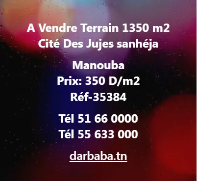 terrain a vendre