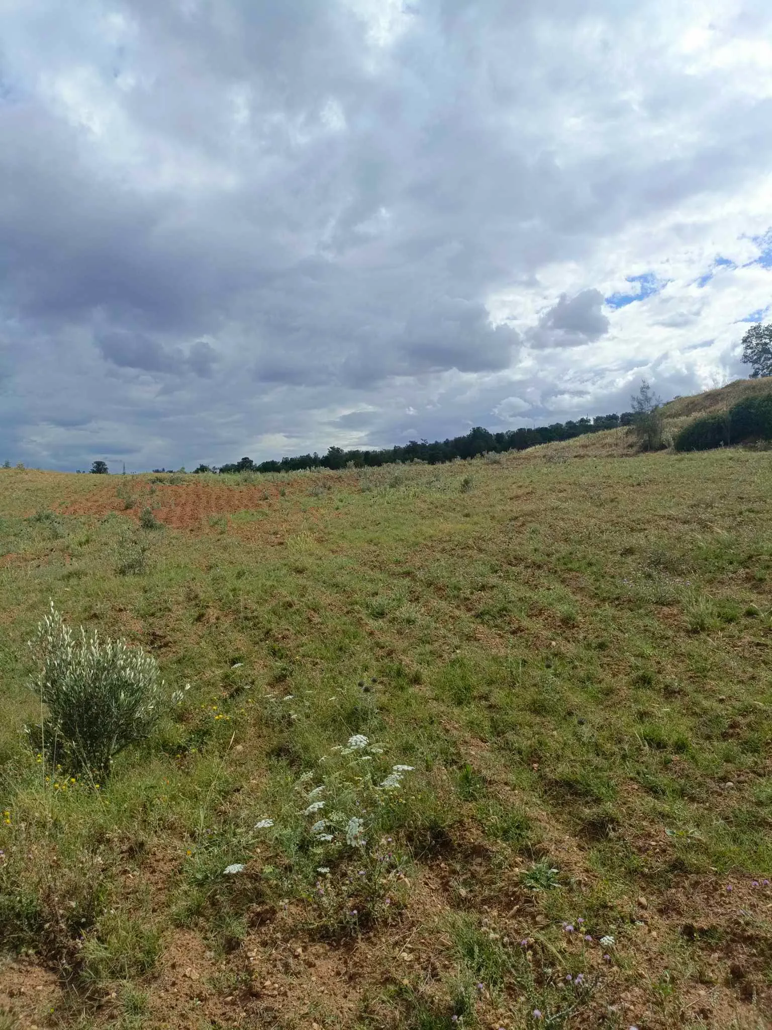AV terrain 4100m route zriba zaghouan 99958728