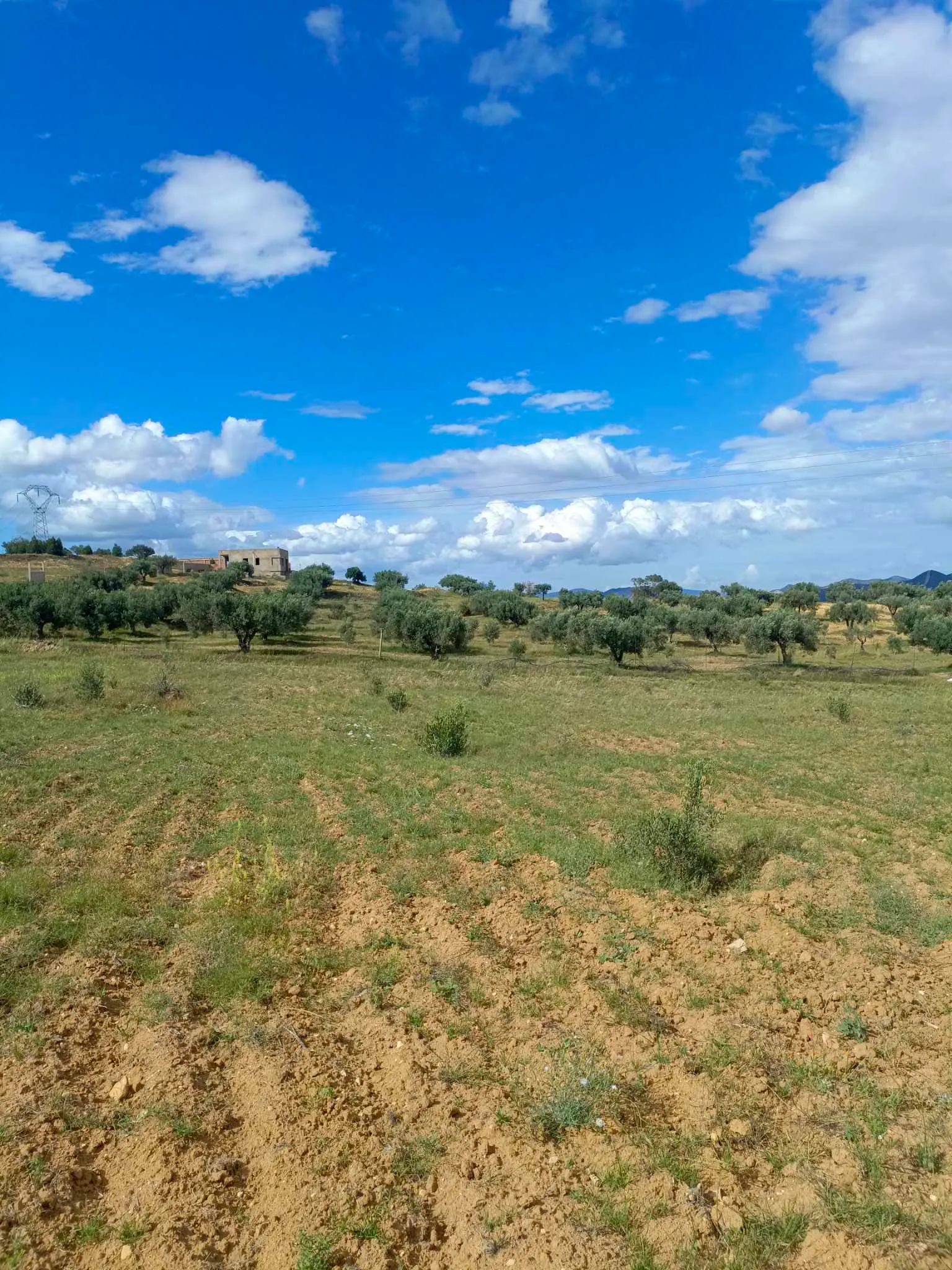 AV terrain 4100m route zriba zaghouan 99958728