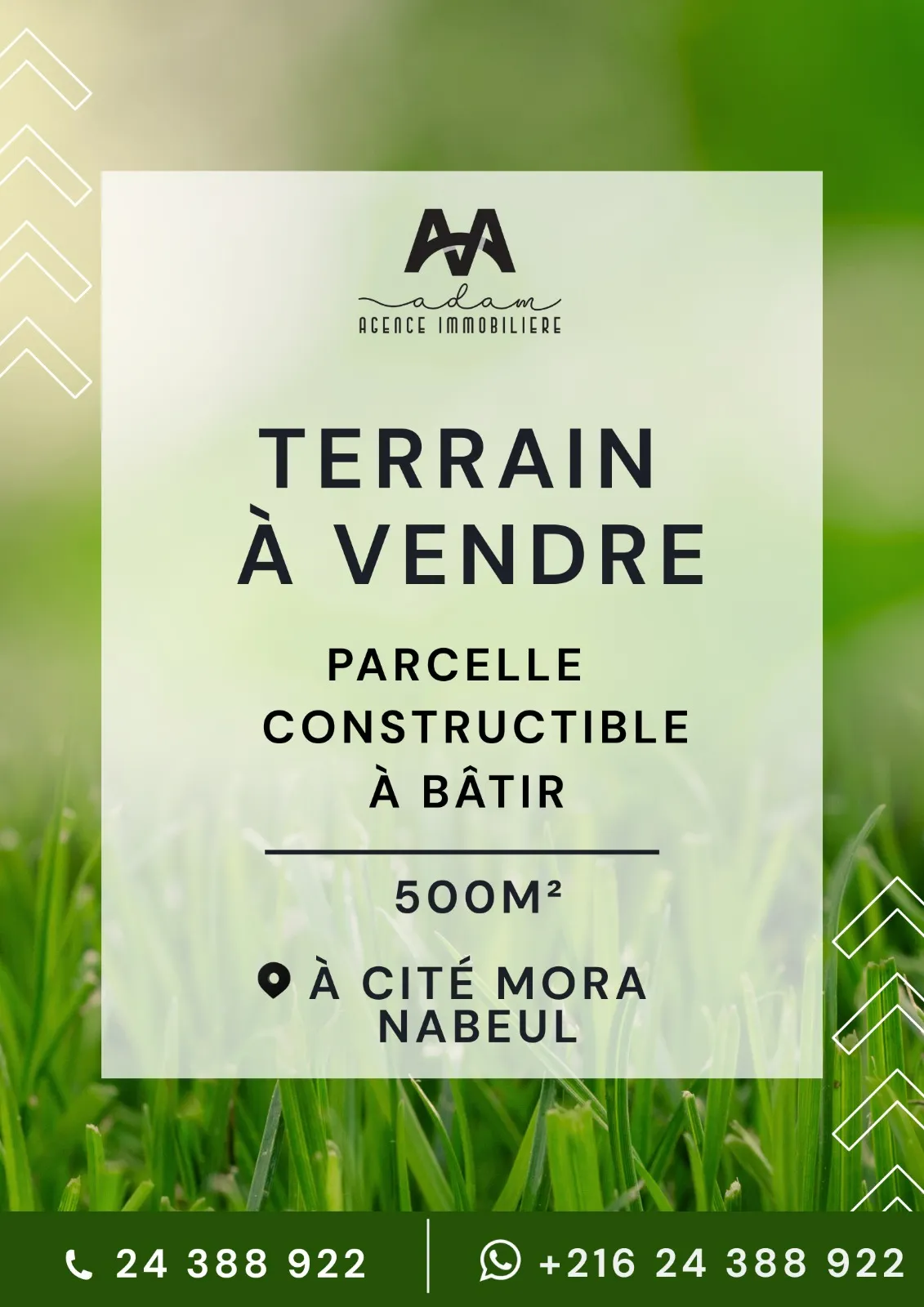 Terrain Cité Mora, Nabeul 