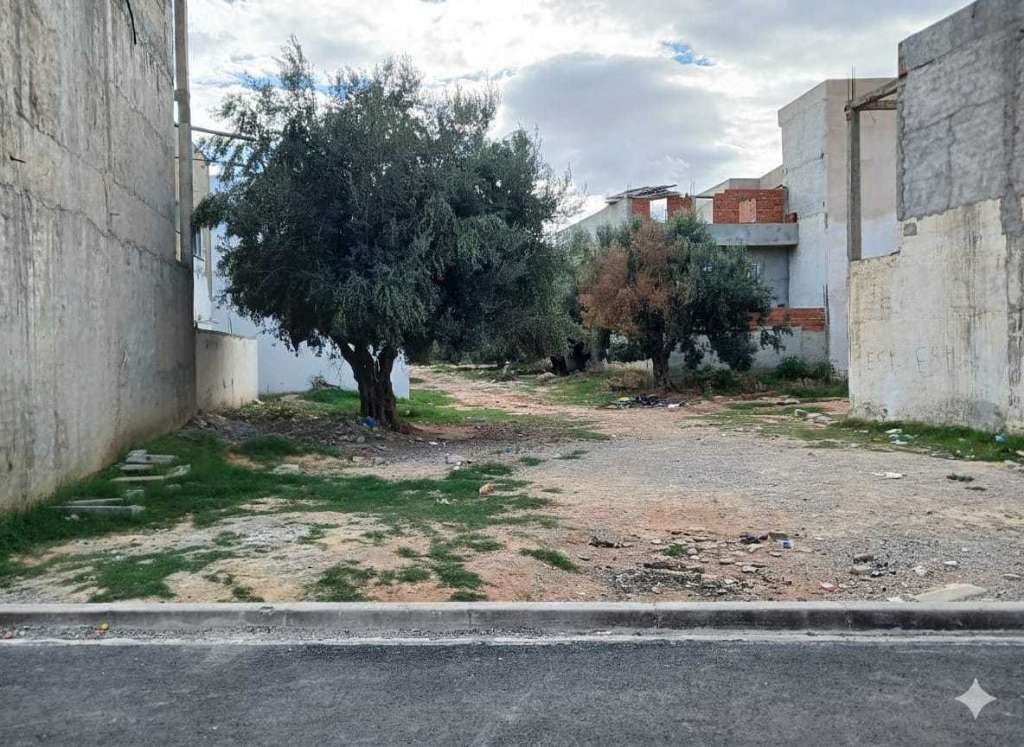 للبيـــــــــــع