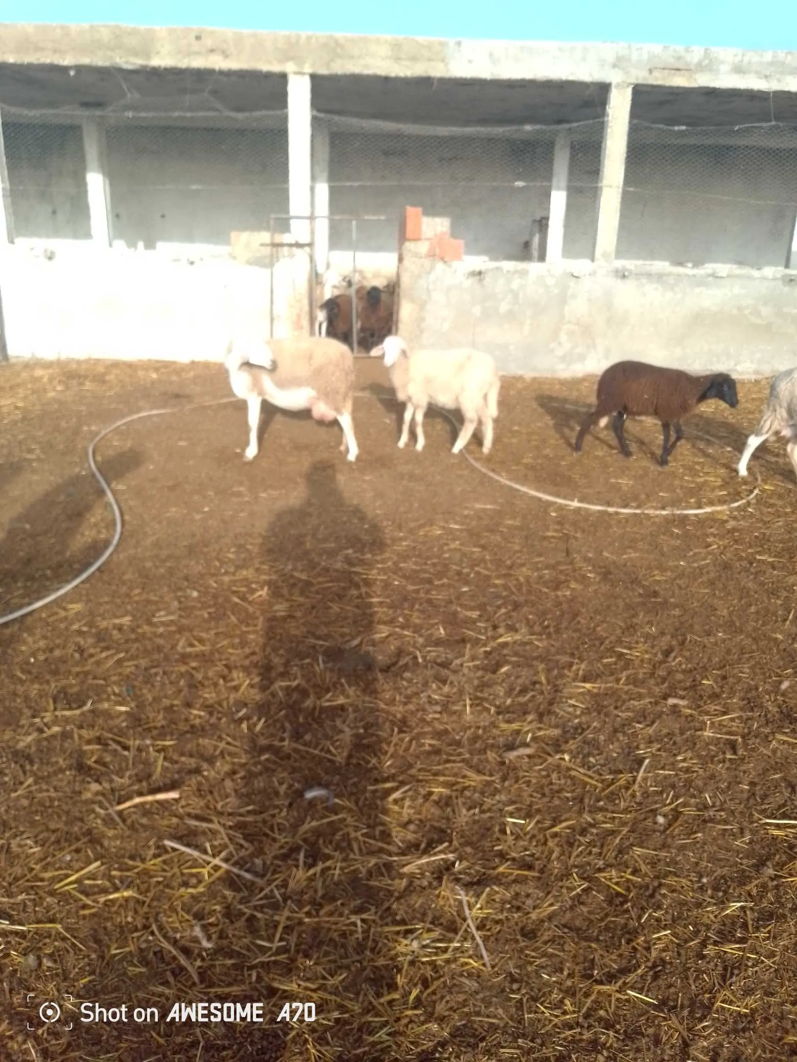 A vendre ferme agricole