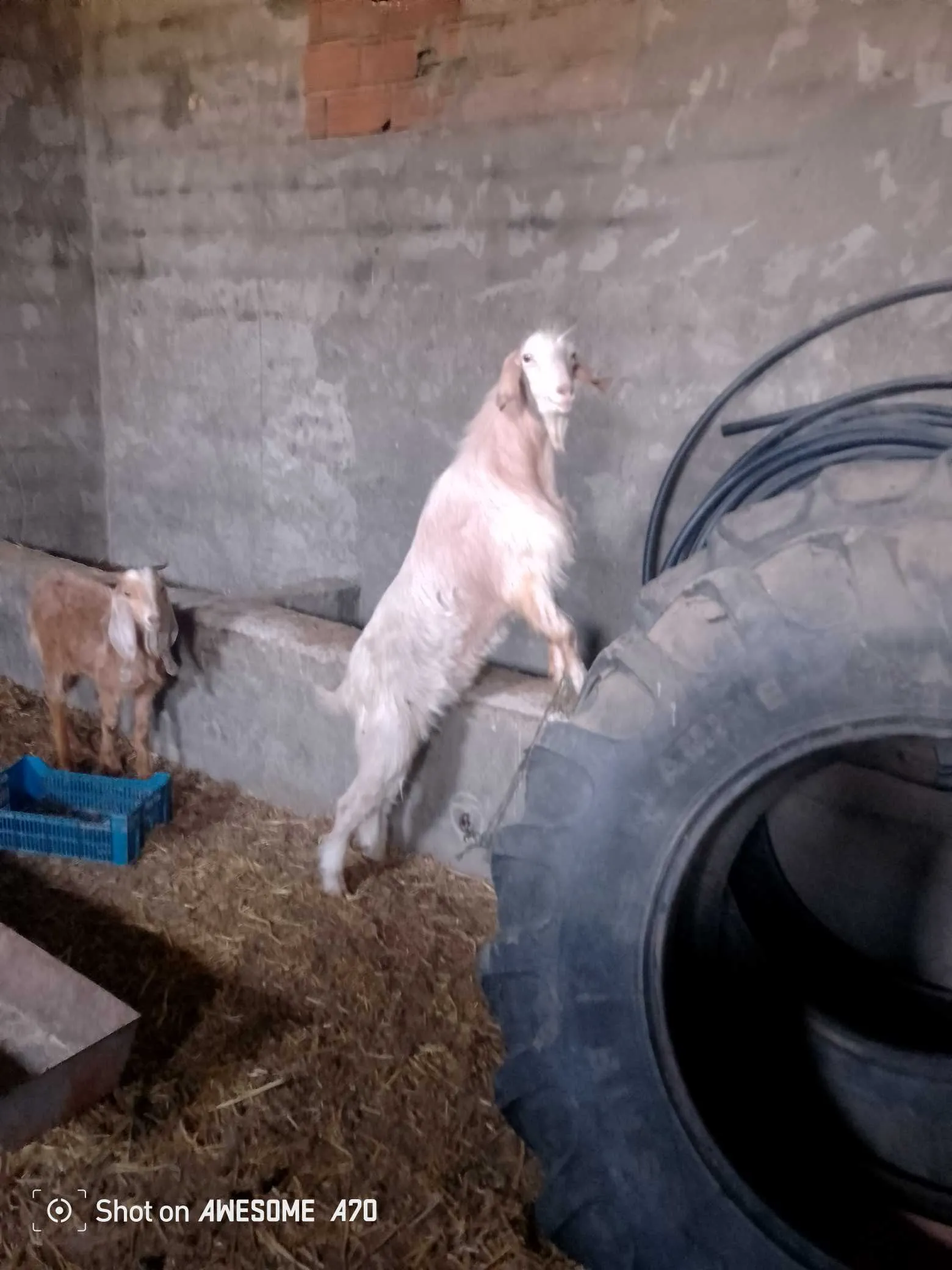 A vendre ferme agricole