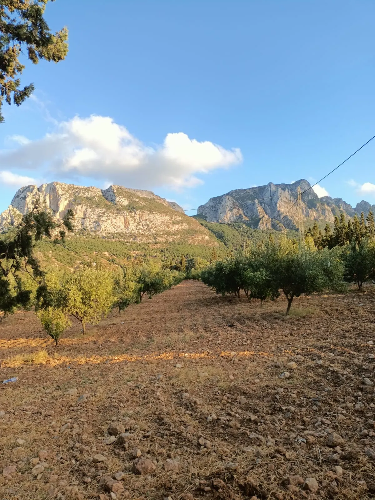 đč Ă VENDRE â Terrain Ă Djebel Erssas, Mornag đč