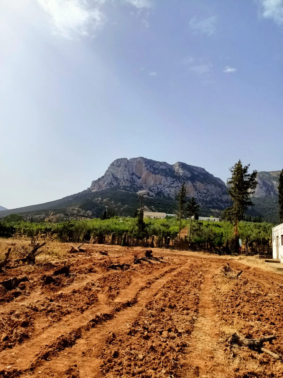 đč Ă VENDRE â Terrain Ă Djebel Erssas, Mornag đč