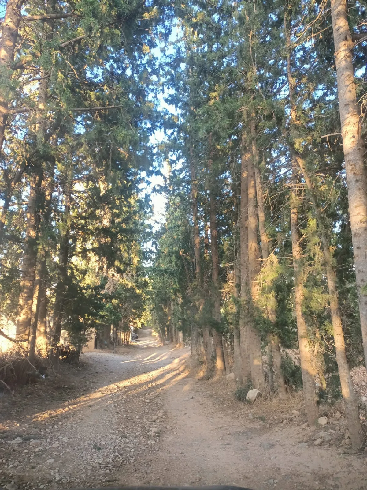 đč Ă VENDRE â Terrain Ă Djebel Erssas, Mornag đč