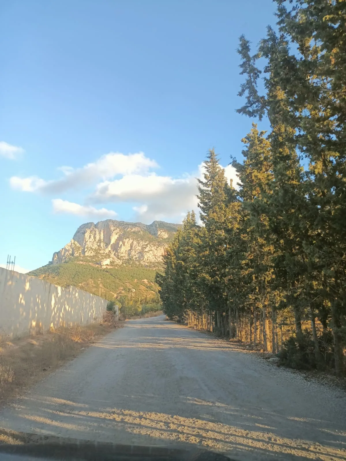 đč Ă VENDRE â Terrain Ă Djebel Erssas, Mornag đč