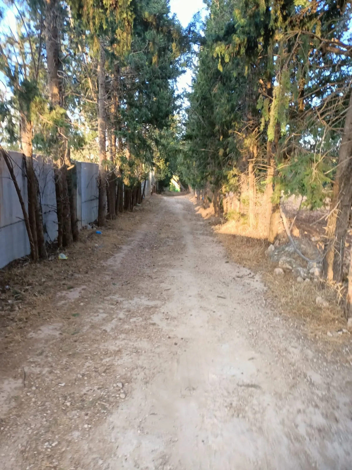 đč Ă VENDRE â Terrain Ă Djebel Erssas, Mornag đč