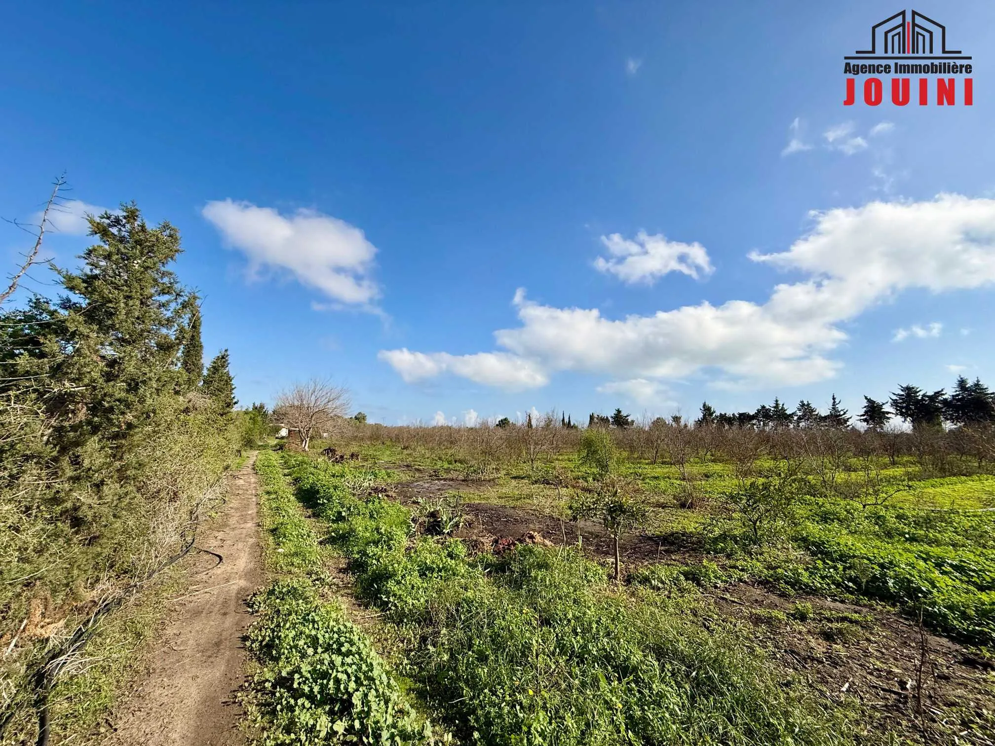 Senya 12500 m² à Tazarka Nabeul