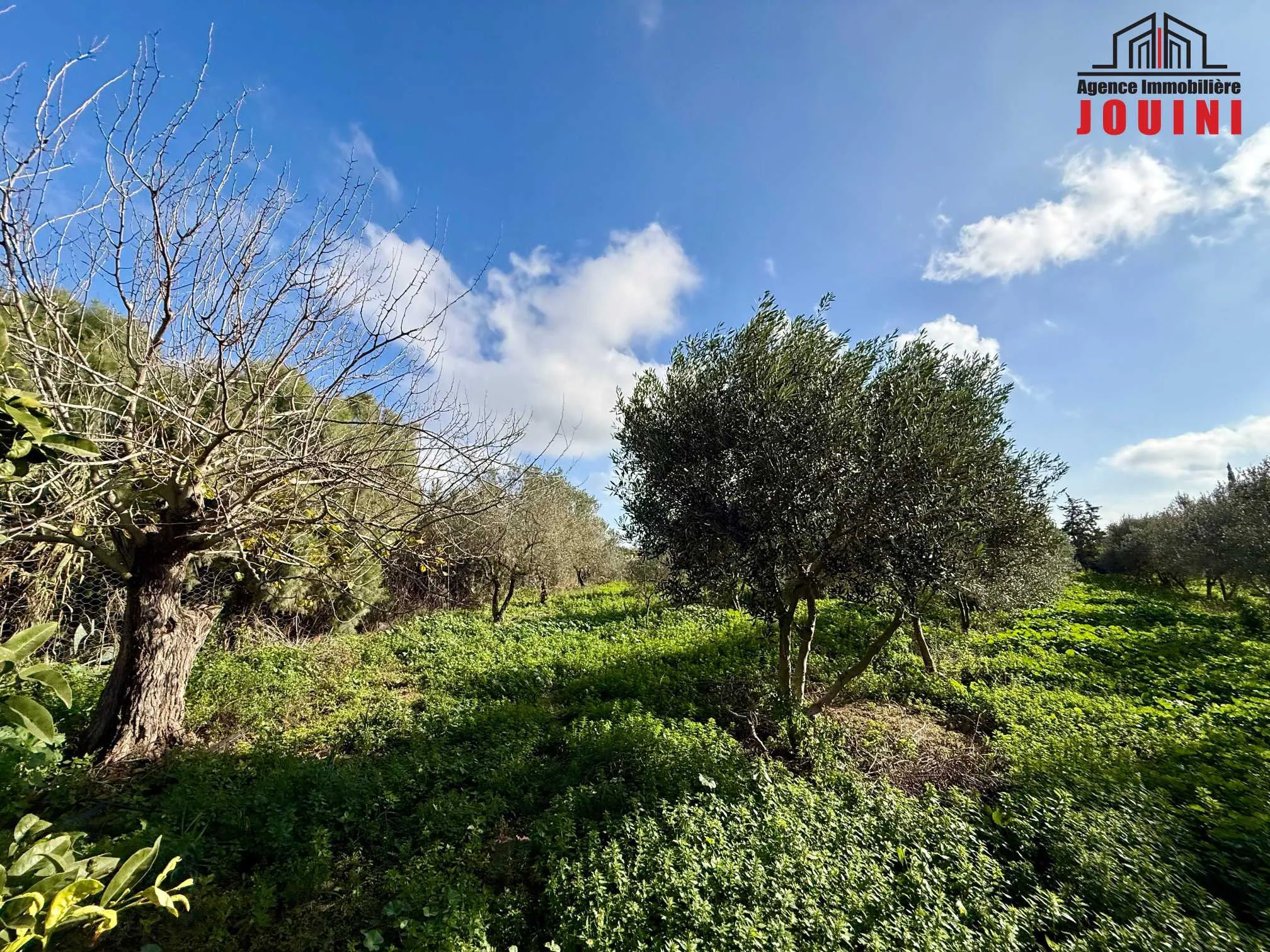 Senya 12500 m² à Tazarka Nabeul