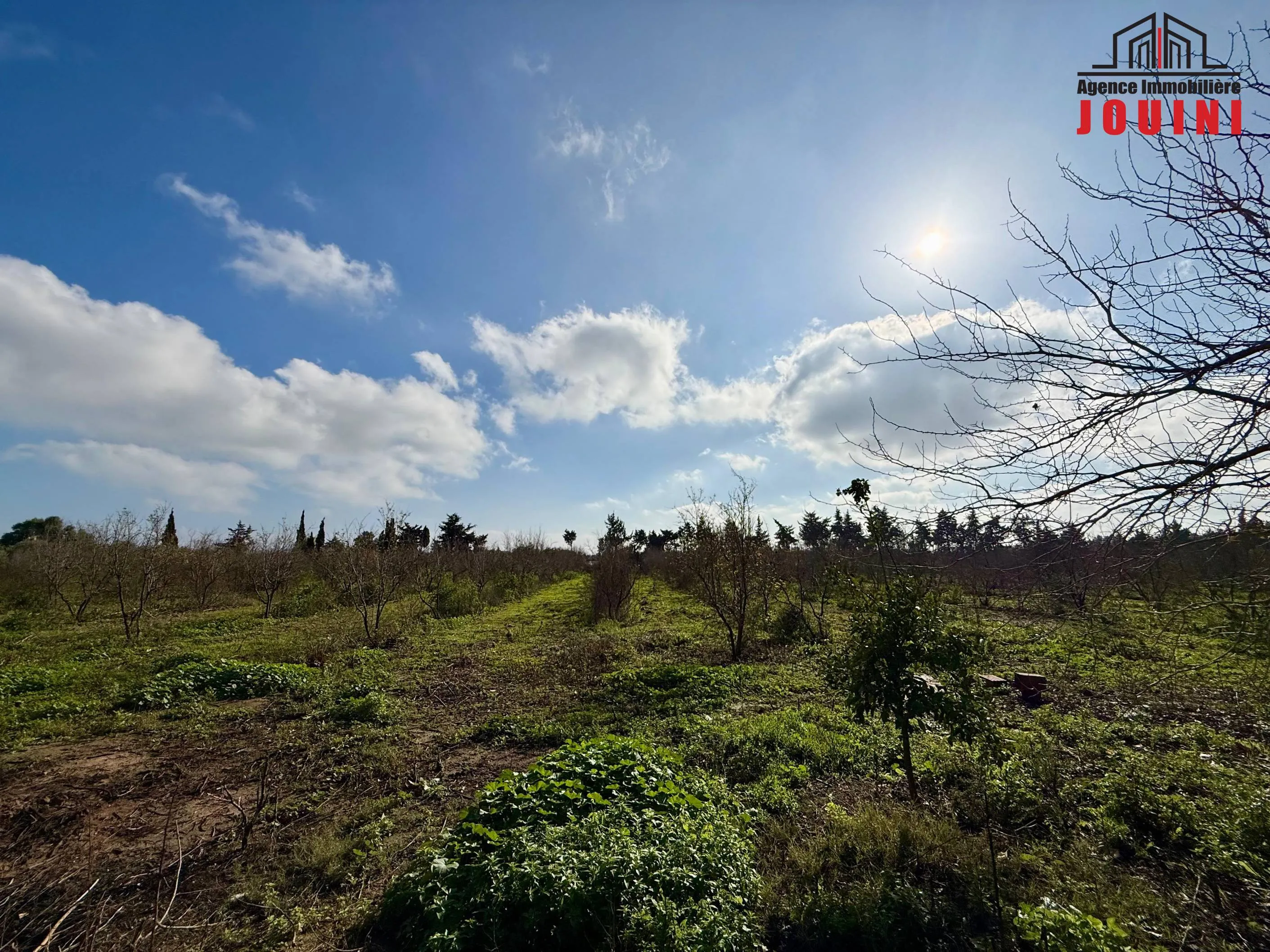 Senya 12500 m² à Tazarka Nabeul