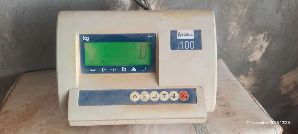 Bascule électronique 5 Ton