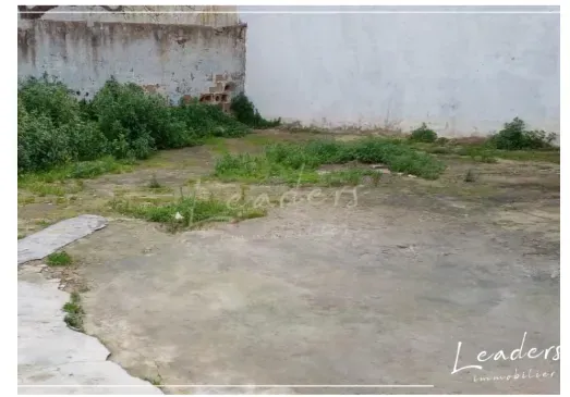 🚨 FORSA MA TET’AWEDSH ! 🔥 🏡 À VENDRE – Terrain constructible à HAMMAMET NORD