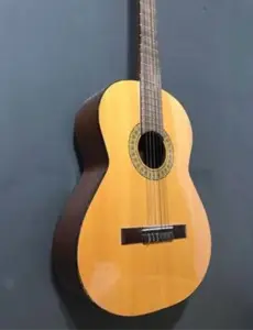 Spanish guitar