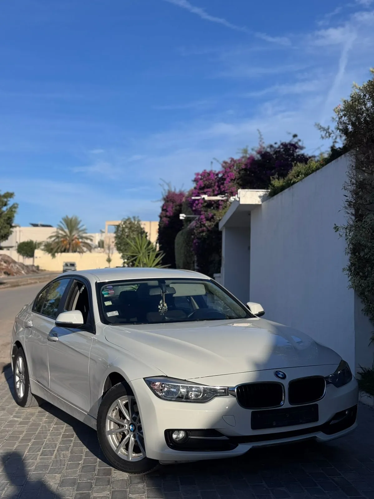 bmw Série 3 F30 316i 