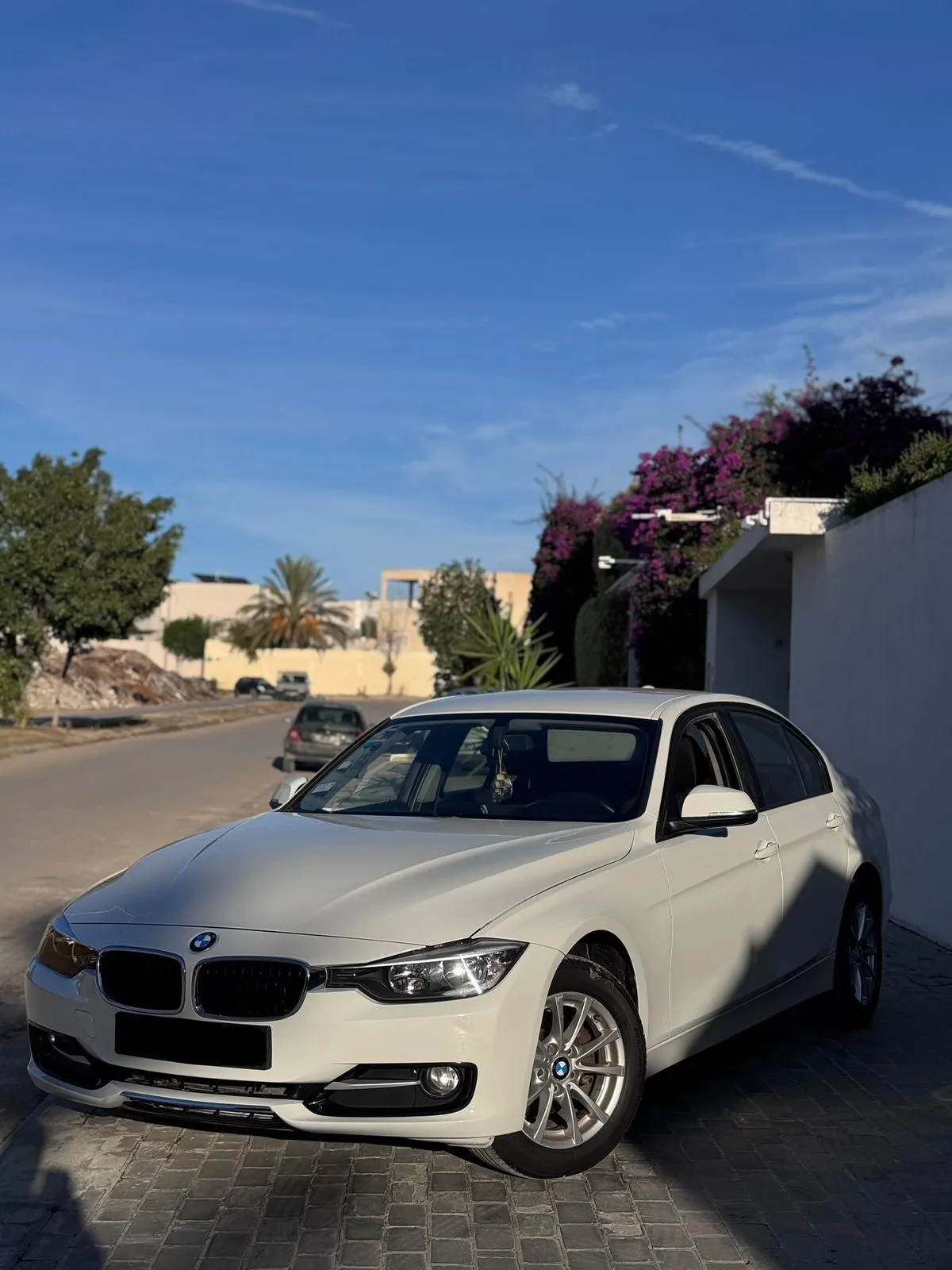 bmw Série 3 F30 316i 