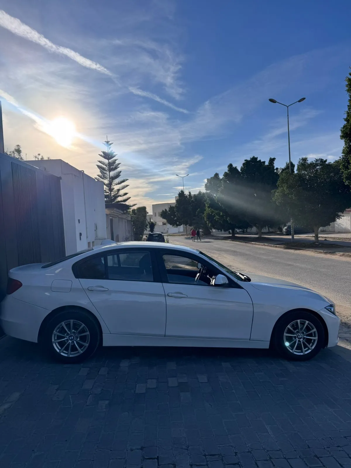 bmw Série 3 F30 316i 