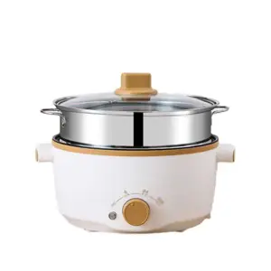 Marmite Électrique Multifonction 3L
