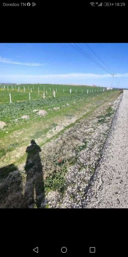 الفجة # أرض سكنية # فرصة 2026