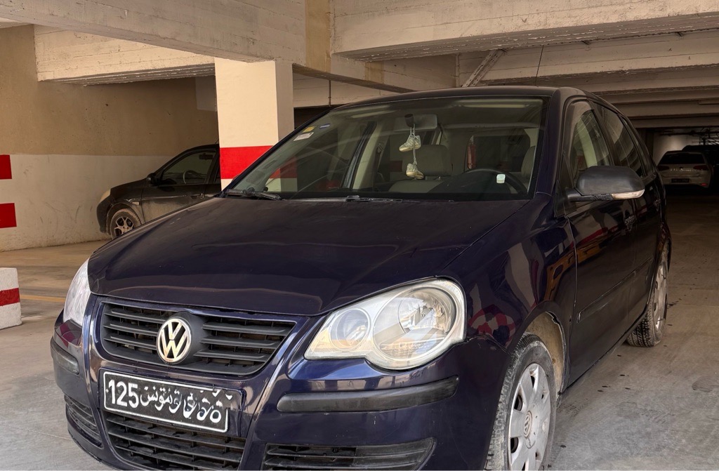 Polo 6
