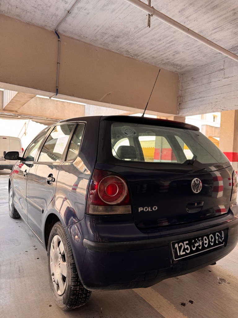 Polo 6