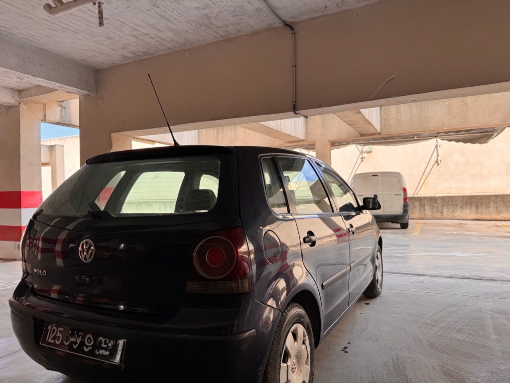 Polo 6