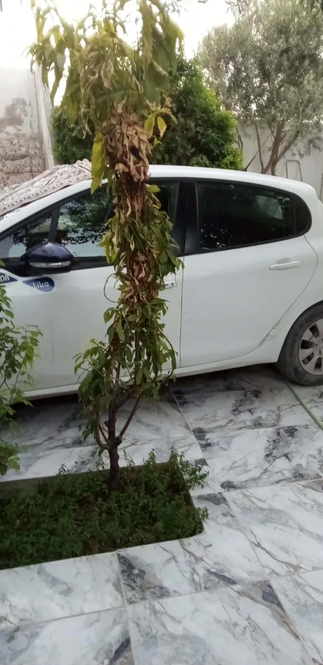 Peugeot 208 en très bonne état