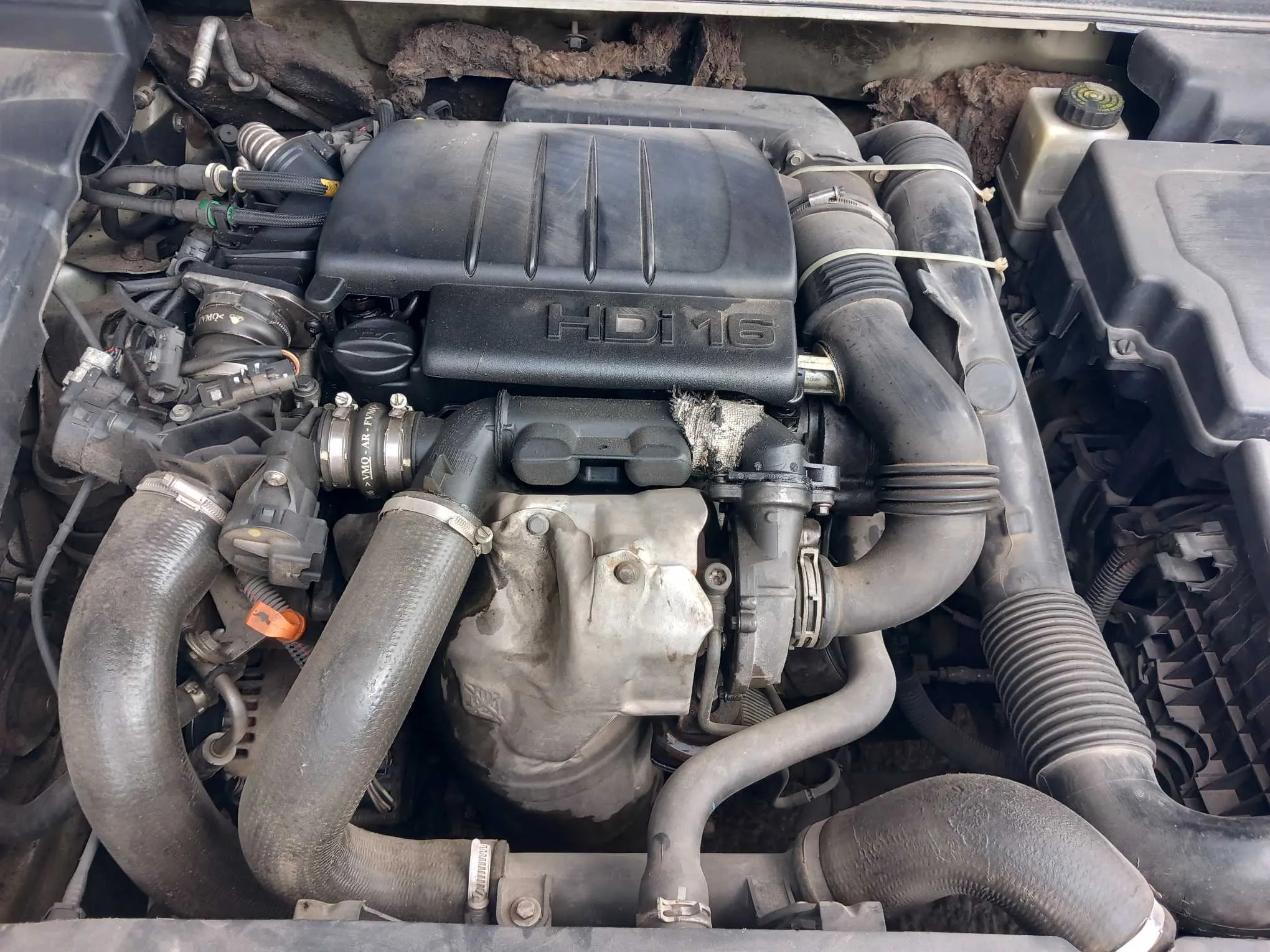 Citroen c5