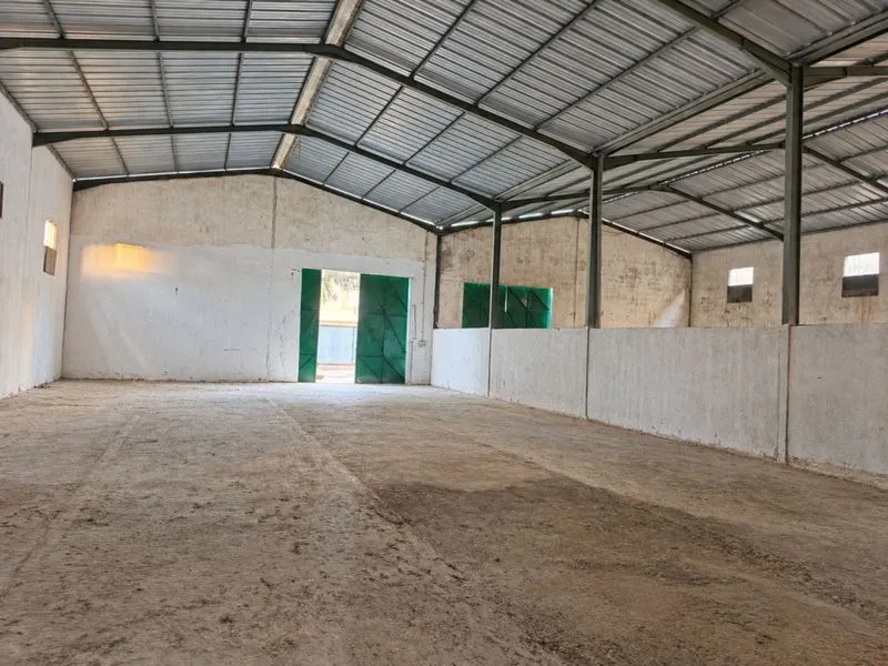 Dépôt de 1 000 m² à louer à Naassen - photo 3