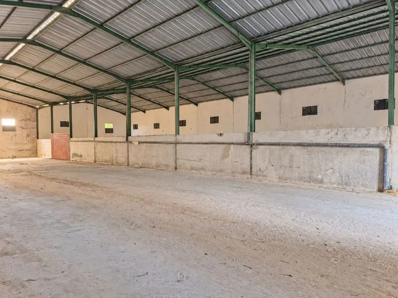 Dépôt de 1 000 m² à louer à Naassen - photo 2