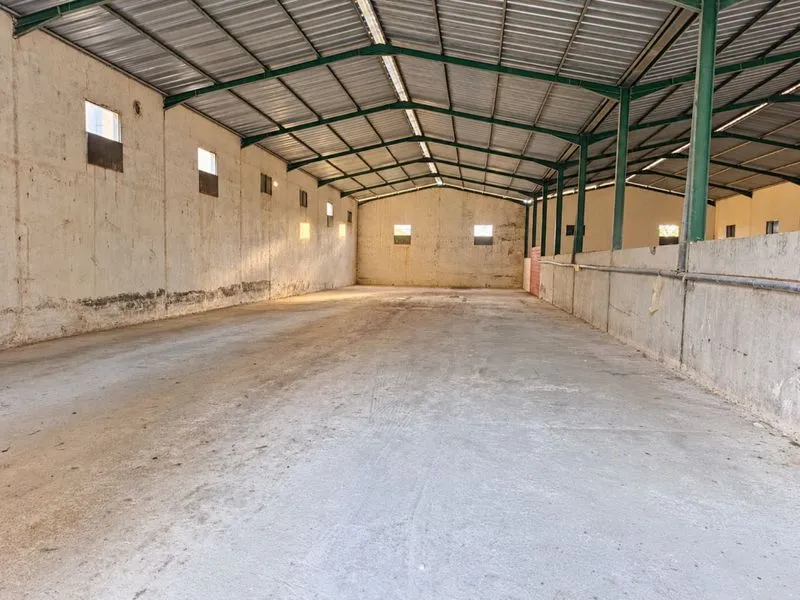 Dépôt de 1 000 m² à louer à Naassen - photo 4