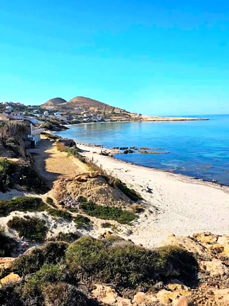 đĄ villa a rafraf plage 2 pas de la mer đ