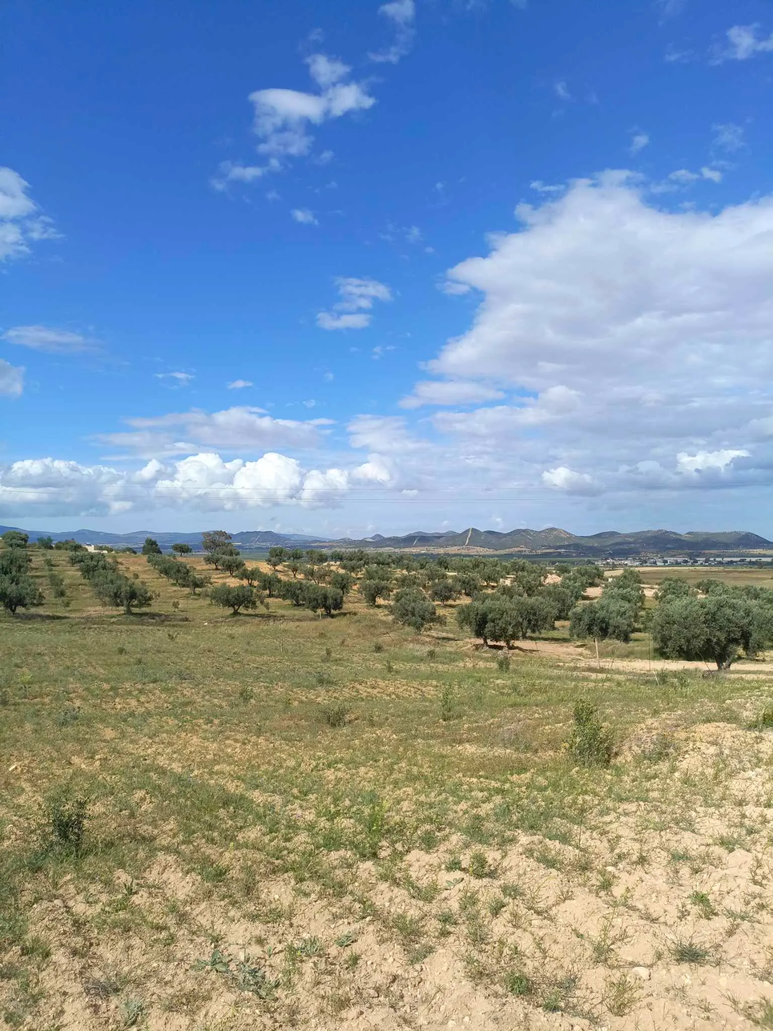 AV 4100m à zaghouan zriba 99958728