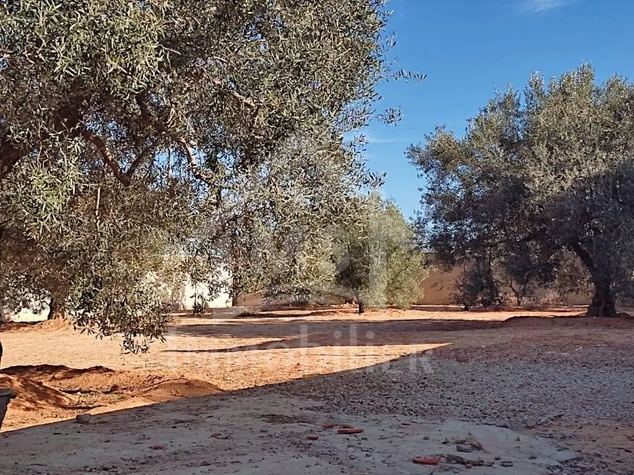 Terrain clôturé de 876 m² à Hammamet Sud à vendre 51355351
