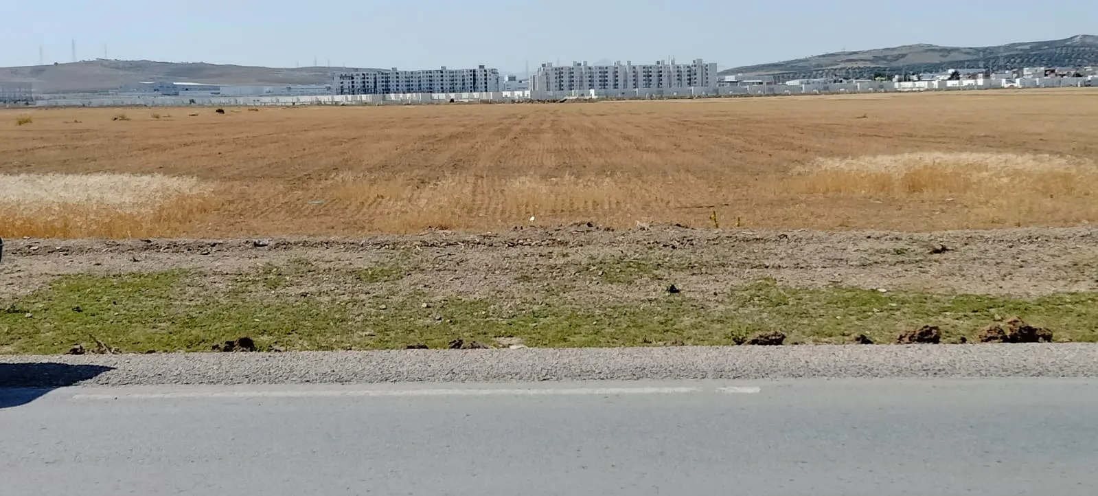 Terrain الفجة منوبة unique