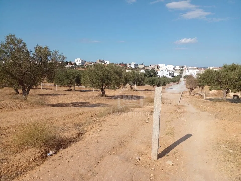 Terrain de 400 m² avec vue de mer à Hammamet Sud à vendre 51355351