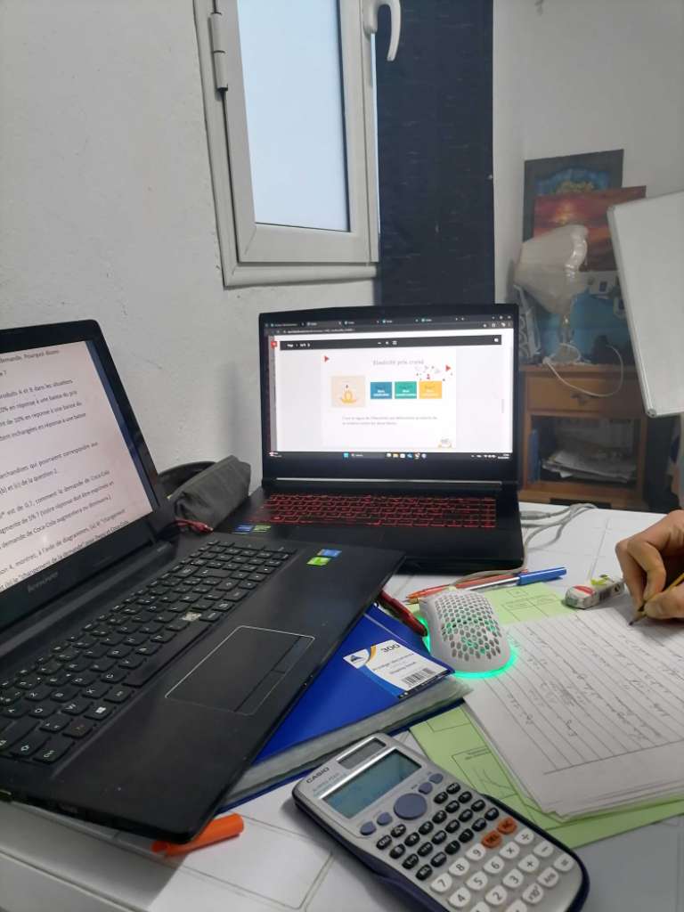 Cours particuliers à domicile en S. E. S