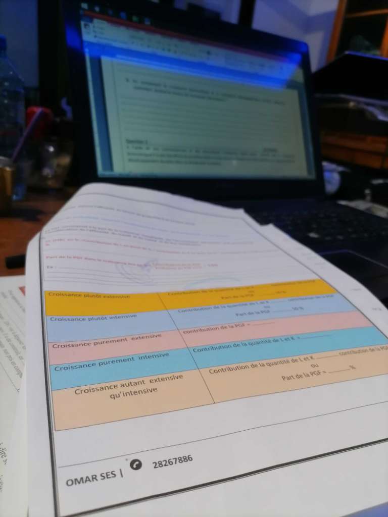 Cours particuliers à domicile en S. E. S