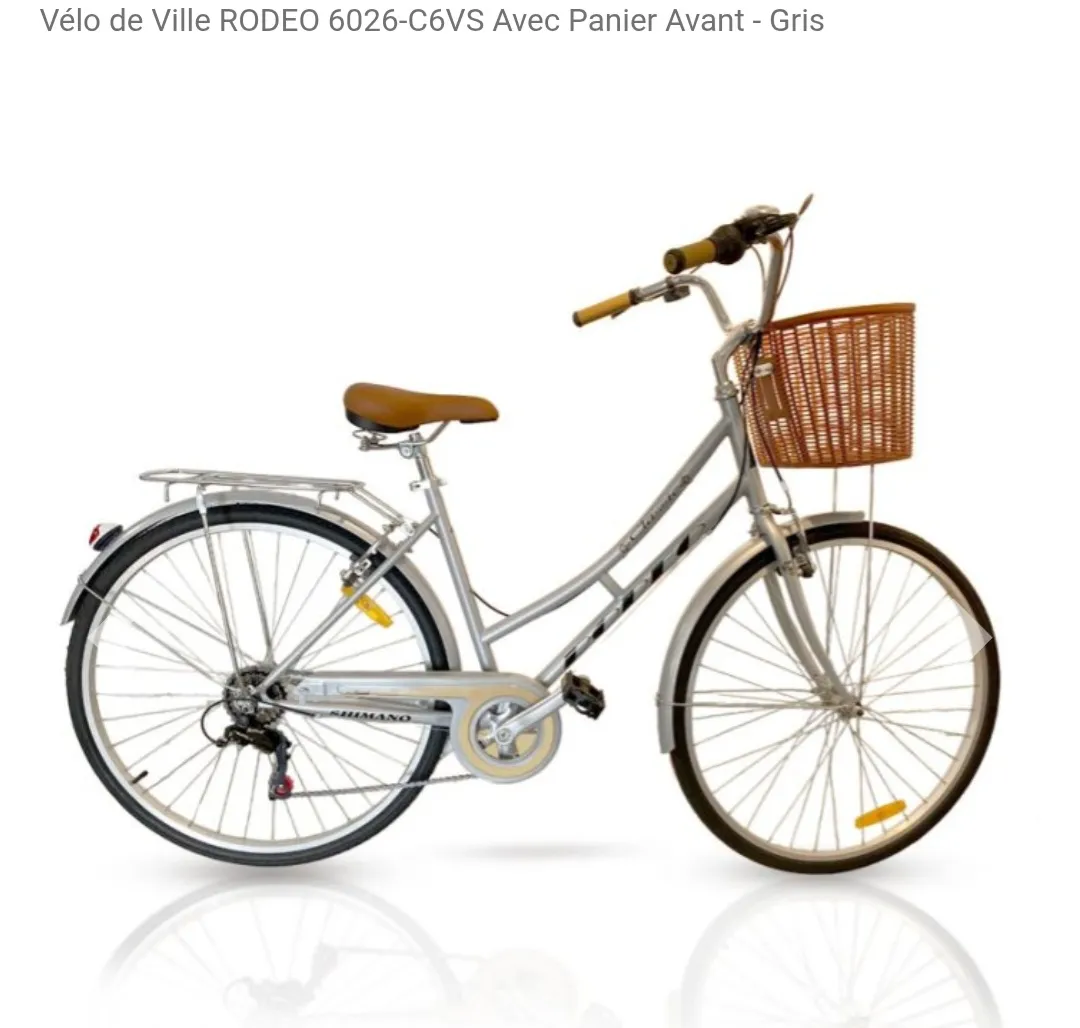 Vélo de ville
