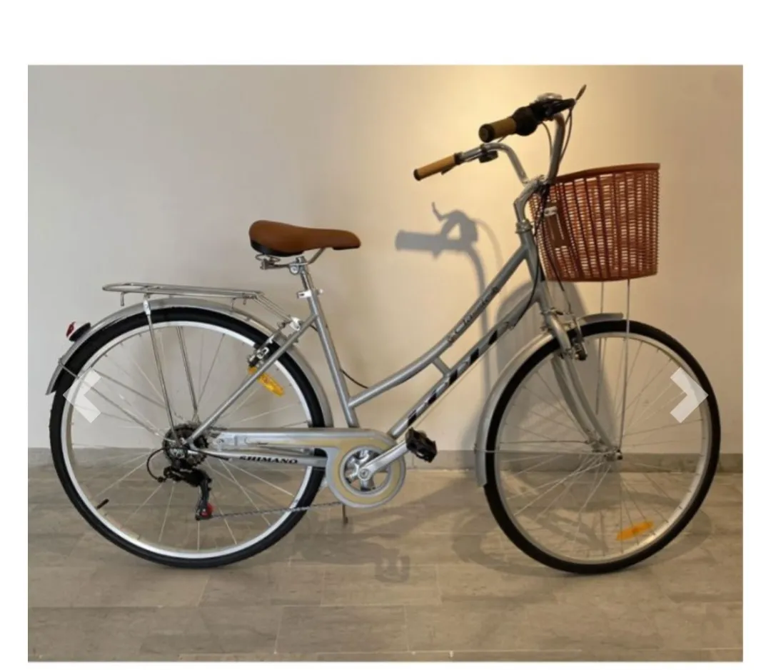 Vélo de ville