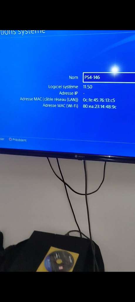 3 ps4 patchable et importé