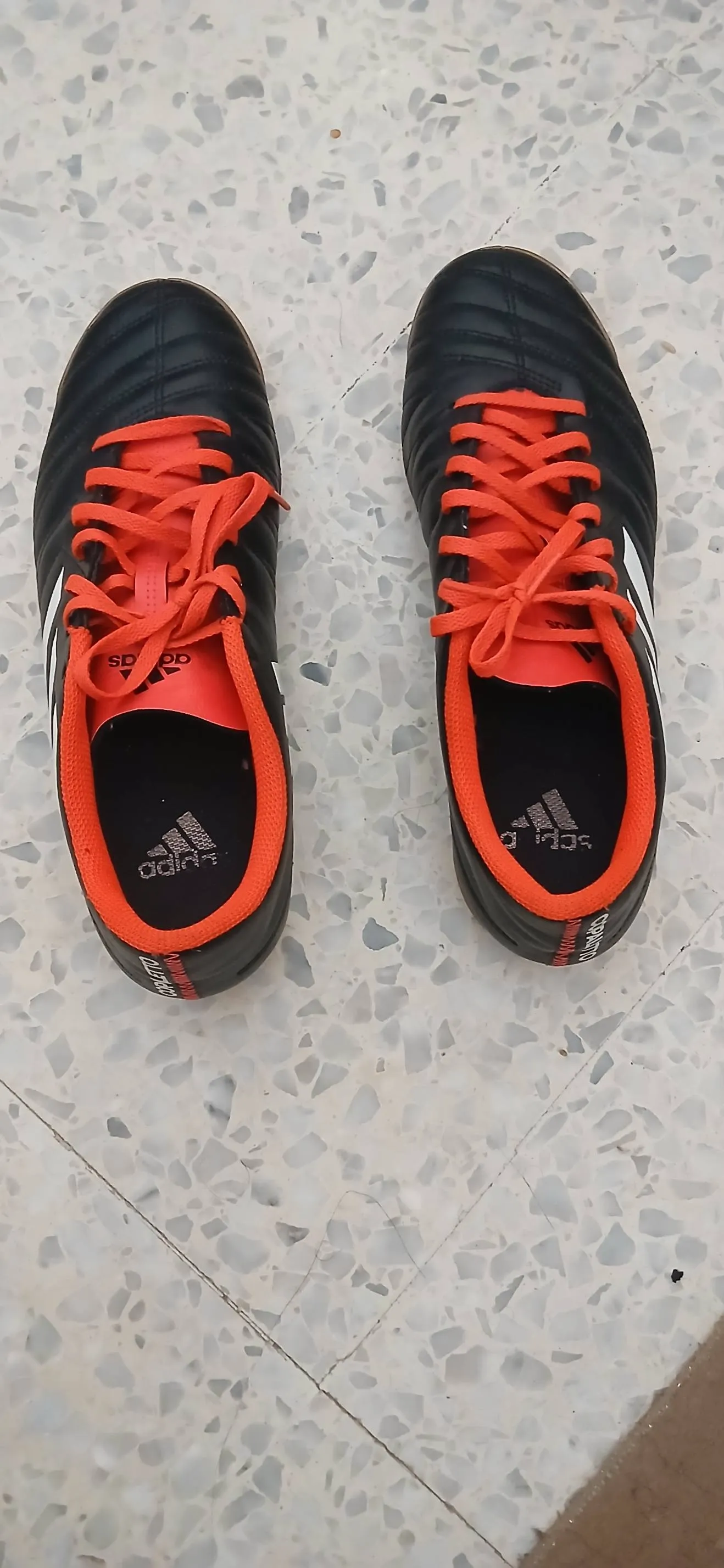 Spedri demi Adidas importe
