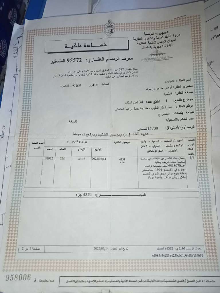غرس زيتون للبيع في بير الطيب من ولاية المنستير