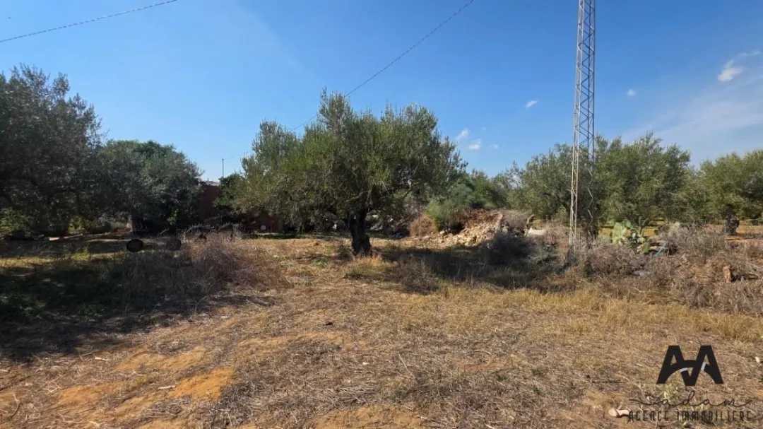 Terrain de 546 m² à vendre à Dagdoug, Nabeul