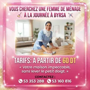 femme de menage par jour a tunis ville