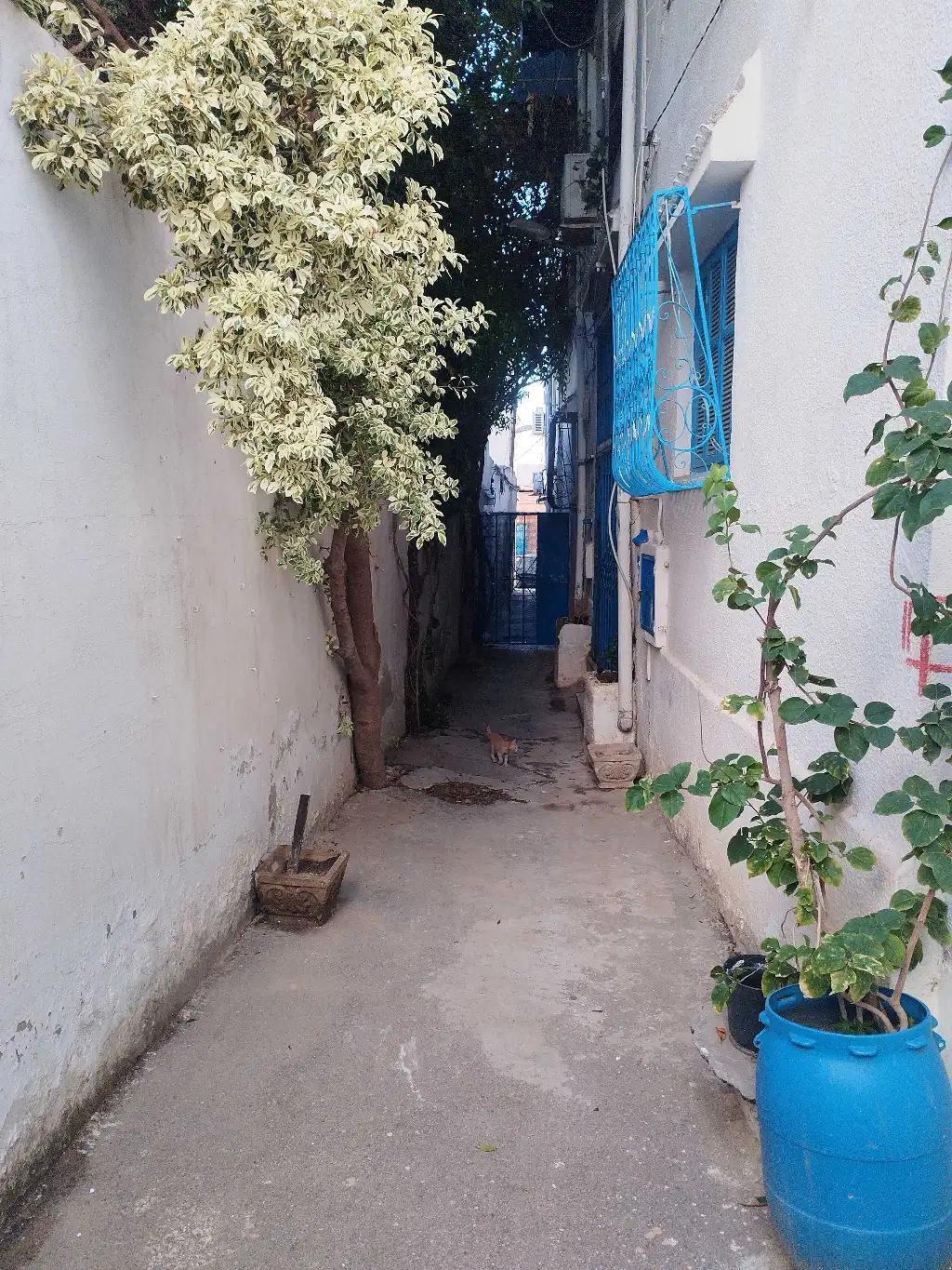 باب الاقواس تونس 