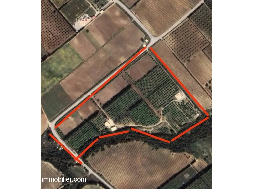 FERME HELA Nabeul Mhedhba T1227