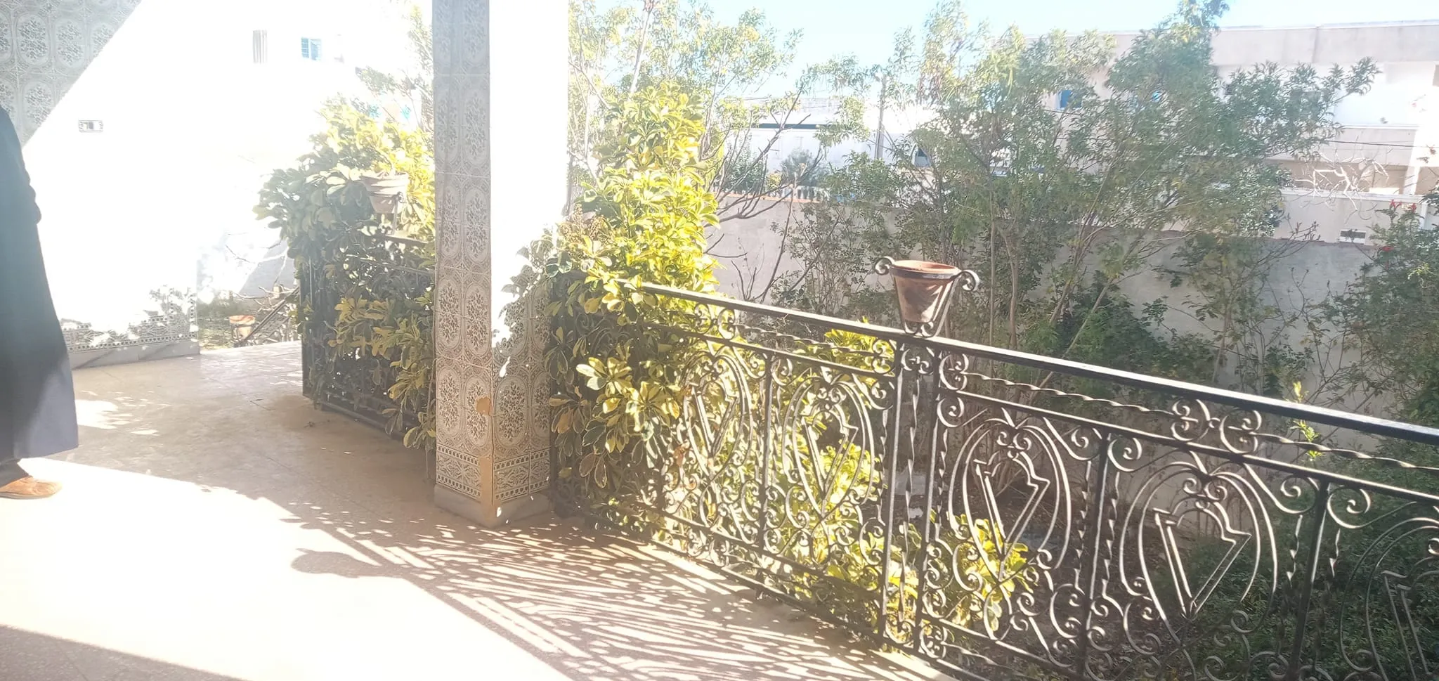 maison amrezga avec jardin 300 m