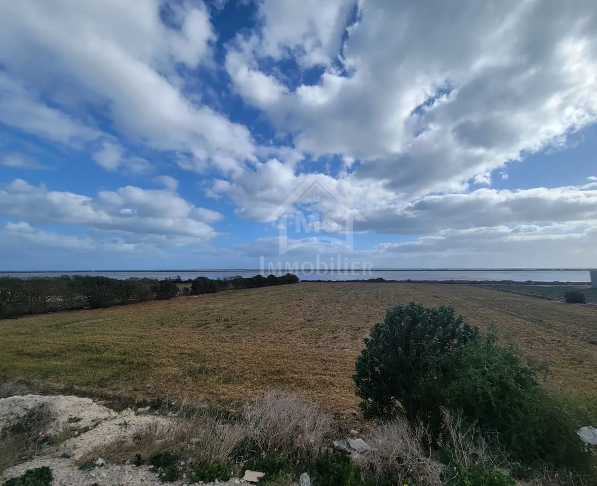 Terrain pieds dans l'eau de 3333 m² à Korba à vendre 51355351