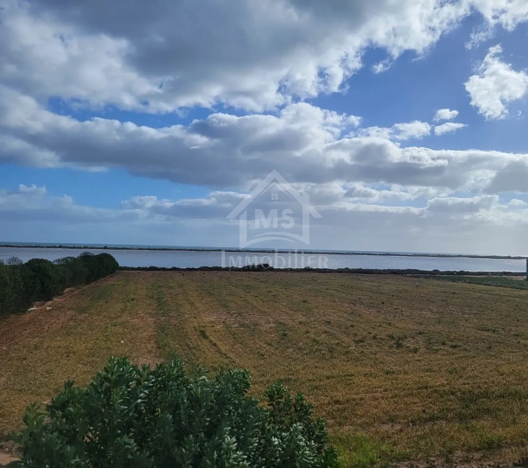 Terrain pieds dans l'eau de 3333 m² à Korba à vendre 51355351